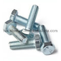 All Kinds of High Quality Bolt and Nut